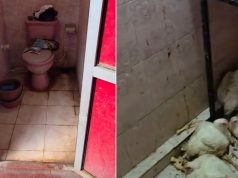 வவுனியாவில் மலசலகூடத்துடன் இணைந்த குளியறைக்குள் கோழி இறைச்சி விற்பனை