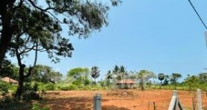 யாழ்ப்பாணத்தில் போலி ஆவணங்களுடன் தனியார் காணிகளை கையகப்படுத்தும் கும்பல்
