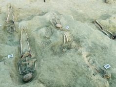 செம்மணியில் இன்றும் 08 என்பு கூடுகள் அடையாளம்