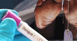 டெங்கு மரணங்களின் எண்ணிக்கை 61 ஆக அதிகரிப்பு