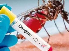 டெங்கு மரணங்களின் எண்ணிக்கை 35 ஆக உயர்வு