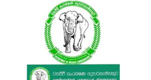 வனஜீவராசிகள் திணைக்கள அதிகாரிகள் சுகயீன விடுமுறை போராட்டத்தில்