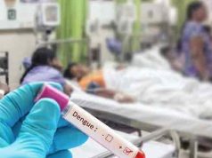 டெங்குவால் 60 இற்கும் மேற்பட்டோர் பலி