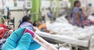 டெங்குவால் 60 இற்கும் மேற்பட்டோர் பலி