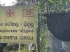 லிந்துலையில் குளவி கொட்டுக்கு உள்ளாகி ஒருவர் பலி – ஐவர் வைத்தியசாலையில்