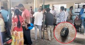 விஷ விதைகளை உட்கொண்ட 22 மாணவர்கள் வைத்தியசாலையில்