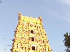 மன்னார் நானாட்டான் ஸ்ரீ செல்வமுத்துமாரி அம்பாள் தேவஸ்தானத்தில் மகா கும்பாபிஷேகம் – 2026