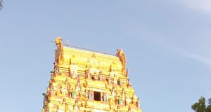மன்னார் நானாட்டான் ஸ்ரீ செல்வமுத்துமாரி அம்பாள் தேவஸ்தானத்தில் மகா கும்பாபிஷேகம் – 2026